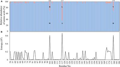 Frontiers | Revisiting Polymorphic Diversity Of Aminoglycoside N ...